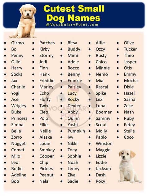 Finding the perfect name for your new pup can be a difficult task, but it’s important to find one that suits their personality and reflects ... Read more The post 200+ Cutest Small Dog Names appeared first on Vocabulary Point. Small Dog Names Boys, Dog Names Female, White Dog Names, Aesthetic Dog Names, Small Dog Names, Sims Names, Cute Puppy Names, Dog Names Unique, Girl Dog Names