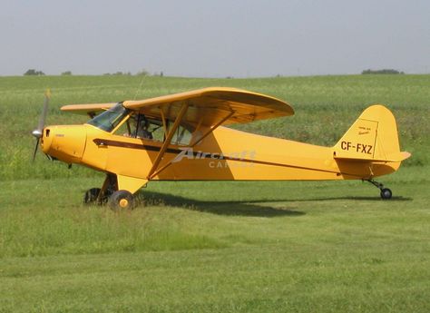 1949 Piper PA-11 Cub Special Planes For Sale, Piper Aircraft, Aircraft Sales, Used Aircraft, Bush Plane, Aviation Fuel, Small Airplanes, Airplane For Sale, Small Aircraft