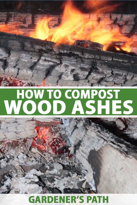 Compost Mulch, Beginners Gardening, How To Compost, Acidic Soil, Diy Compost, How To Make Compost, Compost Soil, Homesteading Ideas, Vegetable Benefits