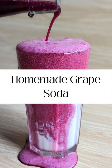 Grape Juice Recipe, Concord Grapes, Grape Harvest, Grape Uses, Healthy Probiotics, Fermentation Recipes, Soda Recipe, Fermented Vegetables, Grape Soda