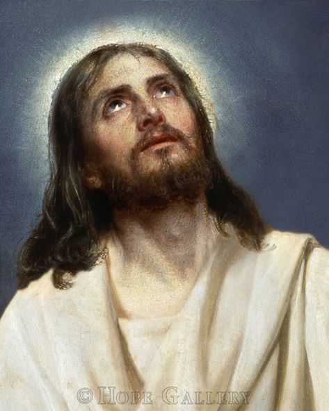 Jesus Our Savior, Life Of Christ, Religious Pictures, Lds Art, Jesus Christ Art, Jesus Face, Pictures Of Jesus Christ, In Christ Alone, Jesus Christ Images