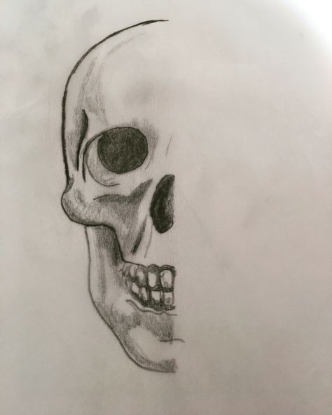 Half skull Half Skull Drawing, Half Skeleton Face, Half Face Drawing, Half Skull Face, Skull Drawing Sketches, Quick Drawings, Simple Face Drawing, Half Skull, Skull Sketch