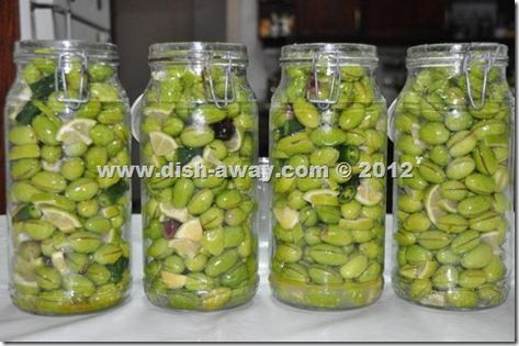 Pickled Green Olives Recipe by www.dish-away.com Curing Olives, Olive Tree Care, Italy Recipes, Quick Pickles, Pickled Olives, Canning Pickles, Fresh Olives, Arabic Recipes, Marinated Olives