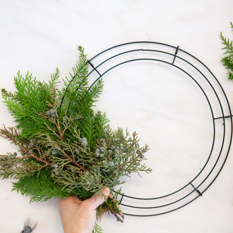 How to Make an Asymmetrical Christmas Wreath With Fresh Greenery Christmas Wreaths Diy Evergreen, Outdoor Holiday Wreaths, Live Christmas Wreaths, Wire Christmas Wreath, Live Wreath, Homemade Christmas Wreaths, Fresh Christmas Wreath, Christmas Wreath Decor, Living Wreath