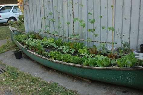 Amazing reuse of an old canoe as a raised garden bed    {great idea for the section by the steps...get a couple old oars to hang windchimes or something from! yea} Practical Garden, Vegetable Planters, Upcycle Garden, Garden Fun, Grow Vegetables, Garden Area, Veg Garden, Have Inspiration, Raised Bed