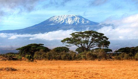 Amboseli National Park, Plains Landscape, Africa Painting, African Plains, National Park Art, Landscape Art Painting, Park Art, Beautiful Images Nature, African Animals