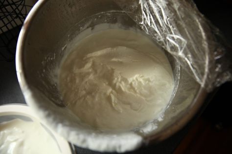 Goat Milk Yogurt, Goat Milk Recipes, Goat Recipes, Thick Yogurt, Making Yogurt, Greek Yogurt Recipes, Goat Meat, Homemade Condiments, Pasteurizing Milk