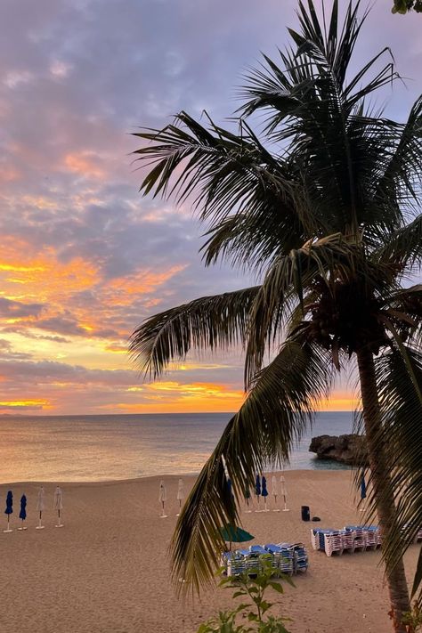 A purple, yellow, and orange tropical sunset framed by a palm tree and the ocean. This beach is much more quiet than the nearby Sosua beach Sosua Dominican Republic, Sosua, Tropical Sunset, Dominican Republic, Palm Tree, The Ocean, Palm Trees, Trip Advisor, Travel Photography