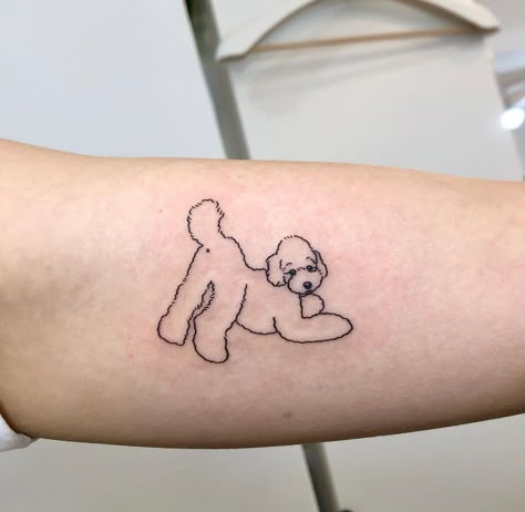 19 Poodle Tattoo Ideas Puddle Tattoo Dog, Toy Poodle Tattoo Ideas, Poodle Fine Line Tattoo, Poodle Tattoos Small Outline, Standard Poodle Tattoo, Mini Poodle Tattoo, Goldendoodle Tattoo Ideas, Cavoodle Tattoo, Dog Doodle Tattoo