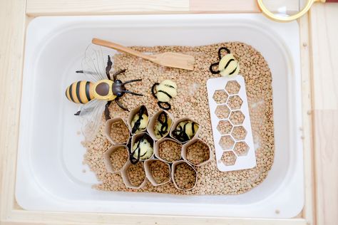 Bee Sensory Bin, Sensory Activities Toddlers, Toddler Sensory, Toilet Paper Rolls, Pipe Cleaners, Sensory Bin, Paper Rolls, Toilet Paper Roll, Kid Crafts