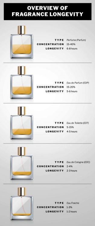 Cologne vs Perfume: What's the Difference? Fragrance FAQs | Dapper Confidential Vs Perfume, Perfume Collection Display, Perfume Storage, Perfume Recipes, Perfume Display, Fragrances Perfume Woman, Perfume Photography, Perfume Collection Fragrance, Perfume Packaging