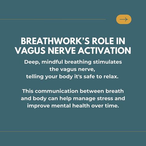 Last week, we spoke about polyvagal theory and the three states of the nervous system. This week, we’re diving deeper into the magic of our bodies, focusing on the vagus nerve and how it can transform your mental health through breathwork. 🌿✨  The vagus nerve is like your body’s built-in reset button. Running from your brain down through your body, it’s responsible for regulating crucial functions like your heart rate, digestion, and stress responses. When you activate this nerve, you can shi... Polyvagal Theory, The Vagus Nerve, Vagus Nerve, The Nervous System, Reset Button, Improve Mental Health, Your Brain, Nerve, Nervous System