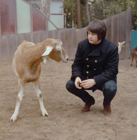 Brian Wilson and a goat. The Beach Boys' Pet Sounds photo shoot. PH George Jerman Feb 1966. Pet Sounds Beach Boys, Morrison Hotel, Mike Love, Pet Sounds, Brian Wilson, Beach Boys, The Sixties, Classic Songs, The Beach Boys