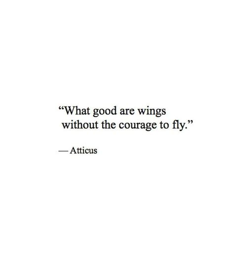 what good are wings without the courage to fly Now Quotes, To Kill A Mockingbird, Atticus, Quotable Quotes, A Quote, Poetry Quotes, Pretty Words, Pretty Quotes, Beautiful Quotes