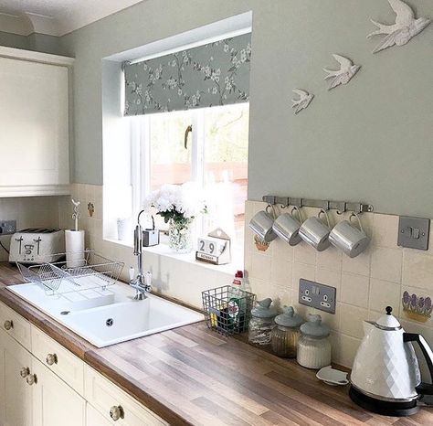 Love this colour Duck Egg Green Kitchen, Kitchen Wall Colour Ideas Grey Units, Duck Egg Kitchen Walls, Light Colour Kitchen, Small Kitchen Colour Schemes, Grey Kitchen With Coloured Tiles, Cream Kitchen Grey Worktop, Kitchen 2024 Trends, Cream Kitchen Wooden Worktop