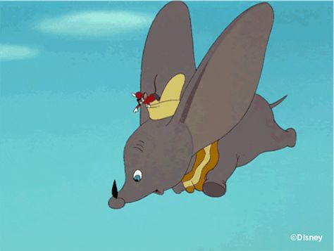 53 Thoughts on a Disney Vacation Dumbo 1941, Bill Peet, Elephant Gif, Disney Amor, Dumbo Disney, Disney Gifs, Flying Elephant, Disney Gif, Space Mountain