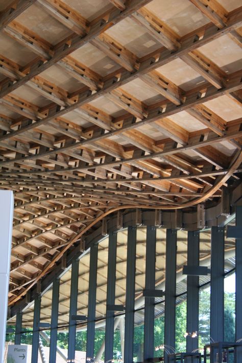 Architecture Canopy, Bend Wood, Steam Bending Wood, Corridor Design, Timber Ceiling, Wood Arch, Genius Loci, Wood Roof, Parametric Architecture