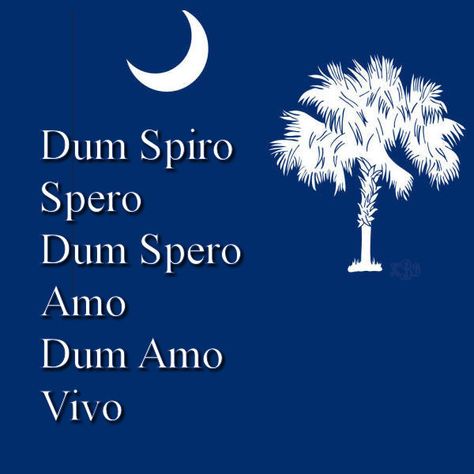 Dum Spiro Spero Quote, Dum Spiro Spero Wallpaper, Dum Spiro Spero Tattoo, While I Breathe I Hope, Happy Otter, Dum Spiro Spero, Poetry Posters, Learn Languages, Word Quotes