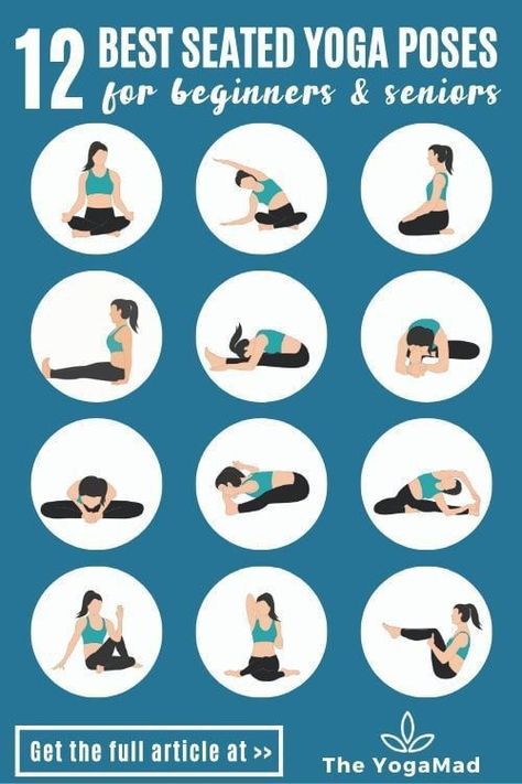 12 BEST SEATED YOGA POSES. Yoga Poses For Seniors, Gentle Yoga Sequence, Seated Yoga, Seated Yoga Poses, Yoga Poses Chart, Hata Yoga, Spinal Health, Basic Yoga Poses, Yoga For Seniors