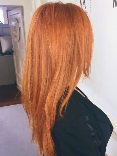 Hair Color Copper Ginger, Sunset Copper Hair, Soft Orange Hair, Orange Beige Hair, Orange Hair With Highlights, Orangey Red Hair, Natural Orange Hair, Bright Ginger Hair, Orange Ginger Hair