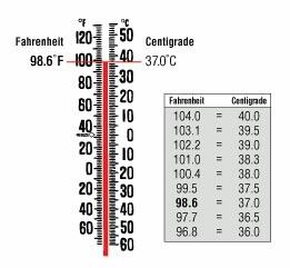 Chemistry Lessons, Vital Signs, Measurement Chart, Chemistry, Periodic Table, Italy, Signs