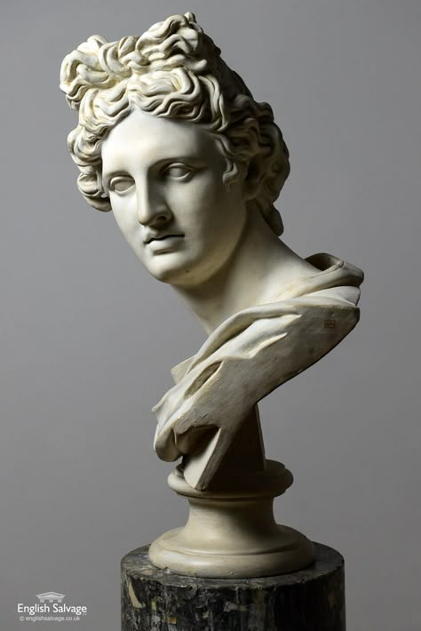 Greek Bust Sculpture, European Statues, Bust Reference, Apollo Bust, Baroque Sculpture, Greek Bust, Sculpture Bust, Classical Sculpture, Architecture Classic