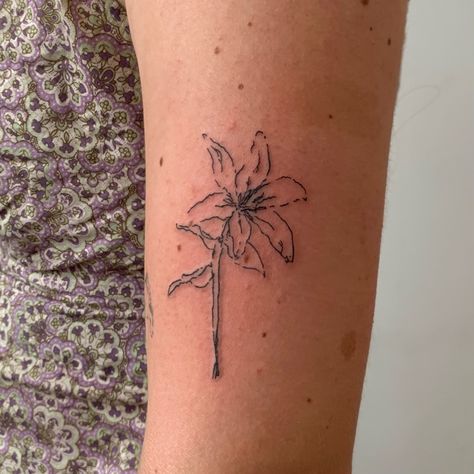 Lilies Arm Tattoo, Lily Tattoo On Ribs, Tiger Lily Tattoo Simple, Asiatic Lilies Tattoo, Orange Day Lily Tattoo, Impala Lily Tattoo, Stargazing Lily Tattoo, Flame Lily Tattoo, Lily Tattoo Men