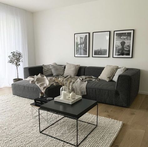 Apartment Decorating With Grey Couch, Living Room Small Grey Couch, Grey And Black Sofa Living Room Ideas, Grey Living Room Ideas Minimalist, Black Couch Apartment Living Room, Grey Couch Black Furniture, Grey L Sofa Living Room, Dark Gray Sofas Living Room Decor, Living Room Inspiration Dark Couch