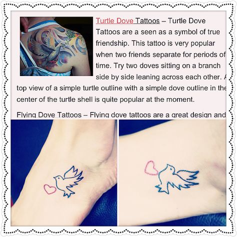 My best friend and I got matching tattoos! Love them! Turtle Dove Tattoo, Matching Tattoos Love, Turtle Outline, Best Friend Tattoo, Tattoos Love, Dove Tattoos, Matching Best Friend Tattoos, Dove Tattoo, Dream Catcher Tattoo