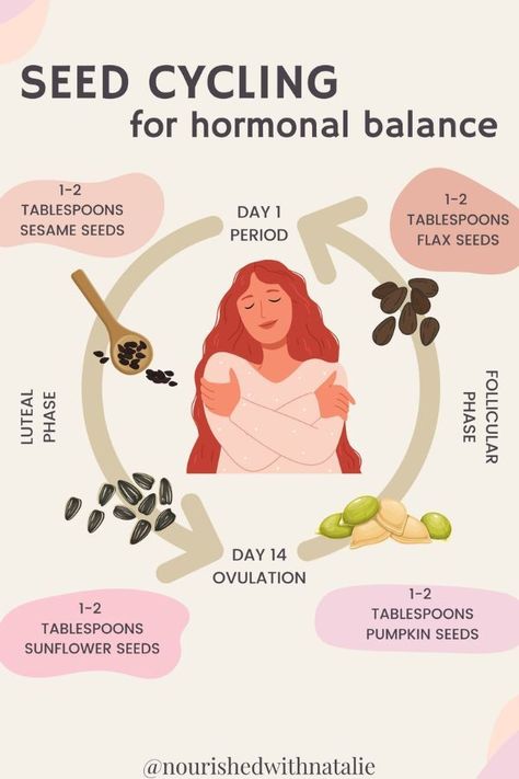 seed cycling guide Hormone Balancing Smoothie, Hormone Balancing Recipes, Cycling Benefits, Hormone Balancing Diet, Seed Cycling, Foods To Balance Hormones, Healthy Juicer Recipes, Seeds Benefits, Healthy Balanced Diet