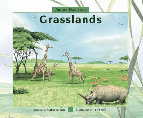 About Habitats: Grasslands | By Cathryn Sill | Illustrated by John Sill | This guide uses simple, easy-to-understand language to teach children what grasslands are and what kinds of animals and plants live there with detailed, full-color illustrations that reflect the diversity of grasslands and the wide variety of the plants and animals that live in grassland habitats Grassland Biome, Grassland Habitat, Western Carolina University, Living In North Carolina, Trade Books, Wildlife Artists, Biome, Teacher Guides, Animal Books