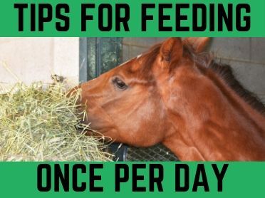 Diy Horse Slow Feeder Hay, How Much Hay To Feed A Horse, Horse Slow Feeder Ideas, Diy Horse Feeder Hay, Horse Hay Feeder Ideas, Slow Hay Feeder For Horses, Horse Hay Feeder Diy, Slow Feeders For Horses, Diy Hay Feeder For Horses