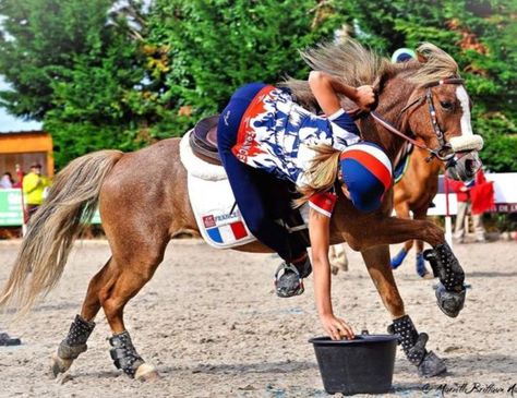 Mounted Games Pony, Mounted Games Horses, Pony Games, Horse Games, Eventing Horses, Equestrian Sports, Horse Stuff, Horseback Riding, Ponies