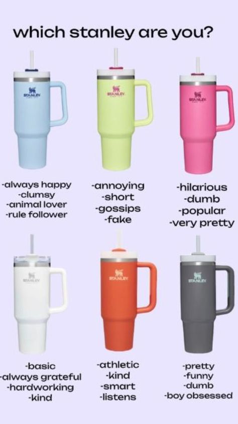 #whichstanleyareyou!! Stanley Products, Trendy Water Bottles, Preppy Gifts, Smart Boy, Coffee Smoothie, Fun Sleepover Ideas, Sleepover Things To Do, Cute Water Bottles, Leyte