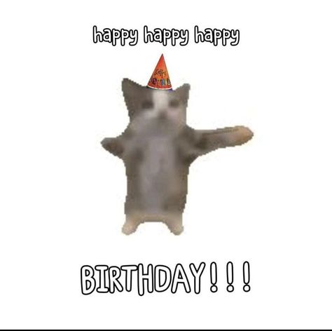 Silly Happy Birthday, Cat Birthday Wishes, Happy Birthday Cat, Happy Birthday My Love, Happy Birthday Meme, Bday Cards, Silly Cats Pictures, Jokes Pics, Birthday Meme