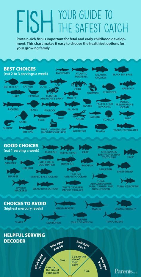 Fish Infographic, Pescatarian Recipes Healthy, Pescatarian Lifestyle, Pescetarian Diet, Pescatarian Diet, Cholesterol Remedies, Cholesterol Lowering Foods, Pescatarian Recipes, Early Childhood Development