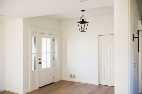 White Dove And Natural Cream, White Dove Walls Trim And Ceiling, White Dove Walls And Ceiling, Benjamin Moore White Dove Walls With Chantilly Lace Trim, Benjamin Moore White Dove Living Room, Best Trim Color For White Dove Walls, White Dove Basement Walls, White Dove Color Scheme, White Dove Whole House