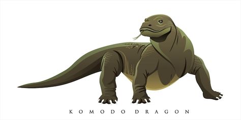 Komodo Art, Travel Graphic Design, Dragon Vector, Komodo Dragon, Komodo, Vector Photo, Banner Design, Premium Vector, Batik