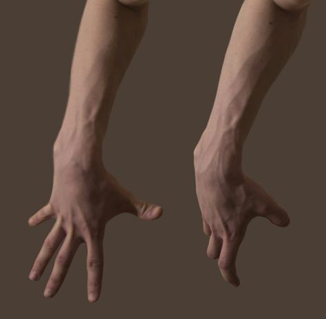 Hands Pushing Reference, Pointer Finger Reference, Hand Clenched Reference, Arm And Hand Reference, Arms Holding Something Reference, Hand Grabbing Shoulder Reference, Male Hand Reference Photography, Hand On Ground Reference, Person With Hands In Pockets Reference