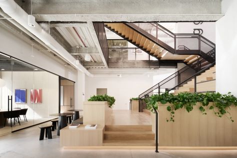 Plants Stairs, Curved Banquette, Concrete Island, Industry Architecture, Perforated Metal Panel, Group Office, Seating Bench, Acoustic Ceiling Panels, Innovative Office