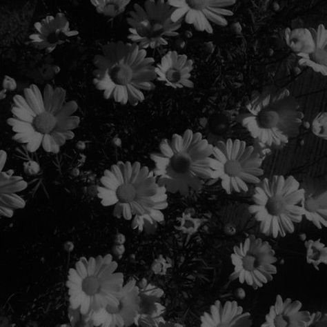 Darkcore Aesthetic, Anger Photography, Flowers Dark, Black And White Picture Wall, Flower Icons, Dark Grunge, Dark Pictures, Gray Aesthetic, Photo Wall Collage