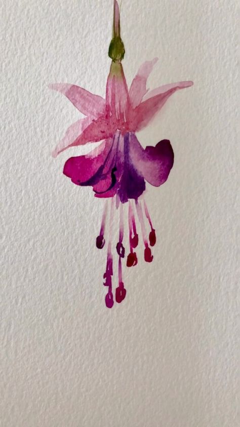 Easy freehand fuchsia. Love the flower and the colour both… | Instagram Watercolor Flowers Tutorial, Learn Watercolor, Diy Watercolor Painting, Watercolor Painting Techniques, Watercolor Flower Art, Watercolor Art Lessons, Watercolor Paintings Tutorials, Watercolor Flowers Paintings, Watercolour Tutorials