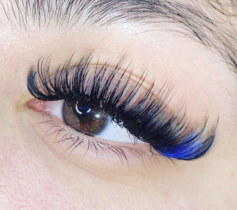 Kiss Lash Extensions, Eye Lash Design, Natural Fake Eyelashes, Lashes Fake Eyelashes, Color Extensions, Kiss Lashes, Cat Eye Lash, Lash Extensions Styles, Eyelash Extensions Styles