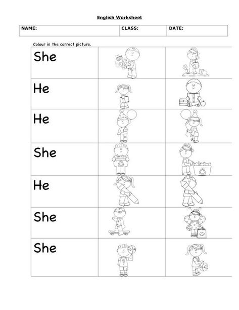 She He It Worksheets He And She Worksheets For Kids, He She Worksheet, Personal Pronouns Worksheets, Preschool Rules, He And She, Worksheet For Kindergarten, Phonics Blends, English Worksheets For Kindergarten, Family Worksheet