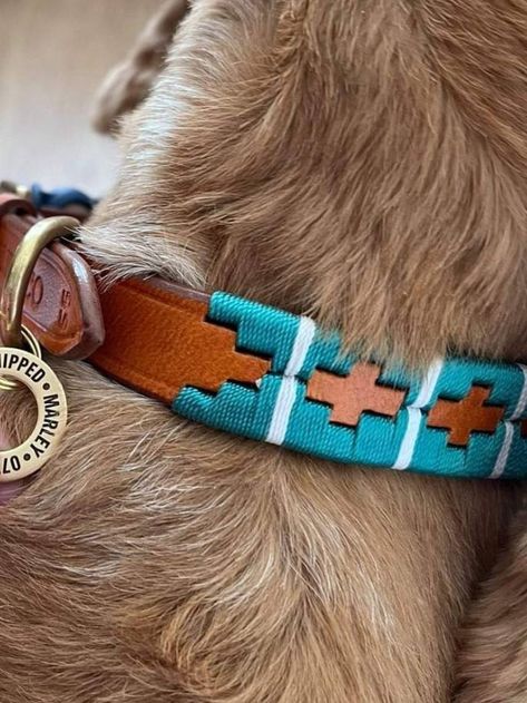 Diy Leather Dog Collar, Stirrup Leathers, Lab Dogs, Leather Carving, Puppy Collars, Rose Gold Metal, Leather Collar, Natural Leather, Leather Working