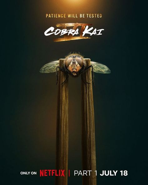 Cobra Kai Parte 1 #netflix #cobrakai Taylor Dayne, Karate Kid Movie, Tv Poster, Freestyle Music, Karate Kid Cobra Kai, Kid Cobra, Timmy T, Poster Store, July 18th