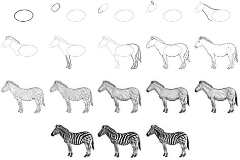 Zebra Drawing Step By Step, How To Draw A Zebra Step By Step, How To Draw A Zebra Easy, Zebra Drawing Sketches, Zebra Drawing Easy, Drawing Tips And Tricks, Zebra Drawing, Top Drawing, Zebra Art