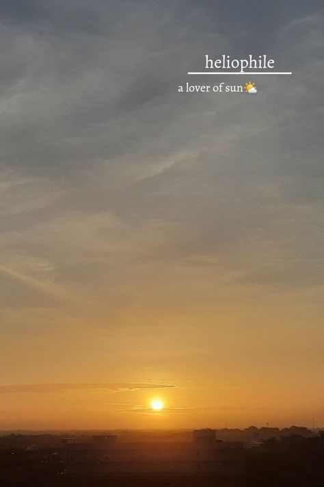 Heliophile Quotes, Sun Photo Caption, Morning Sun Quotes, Morning Sunrise Aesthetic Quotes, Evening Quotes Relaxing, Sunrise Quotes Morning Beautiful, Sun Rise Quotes Mornings, Sun Aesthetic Quotes, Sun Quotes Instagram