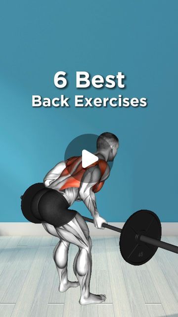 Physio_tip on Instagram: "6 - MUST DO BACK EXERCISES🔥" Back Friendly Exercises, Best Back Exercises, Low Back Exercises Gym, Best Excersize For Back, How To Strengthen Lower Back Muscles, Back Exercises For Men No Equipment, Lower Back Exercises Women, Back Exercises For Men, Back Exercises Women