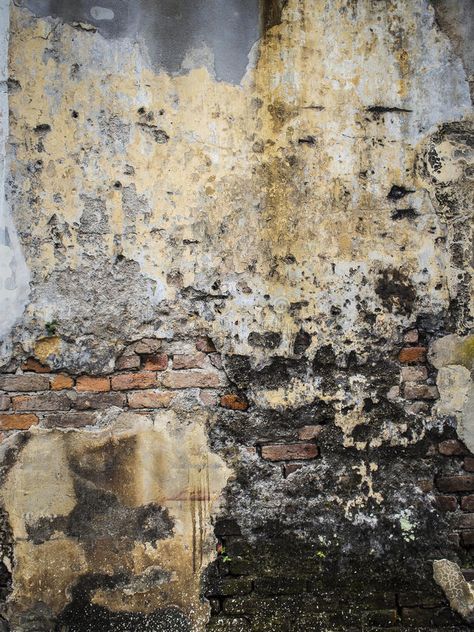 Decaying weathered textured wall royalty free stock photos Natural Decay Art, Urban Decay Art, Decay Sculpture, Decay Painting, Decaying Nature, Decay Architecture, Decay Textiles, Decay Aesthetic, Soft Decay